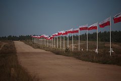 Read more about the article Польша лишится ценного ресурса из-за союзника